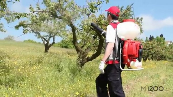 Обработка садов пестицидами