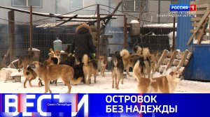 Вести Санкт-Петербург. Выпуск 09.30 от 09.02.2026