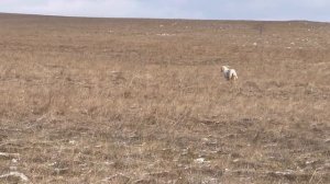 Федора. 09.02.26