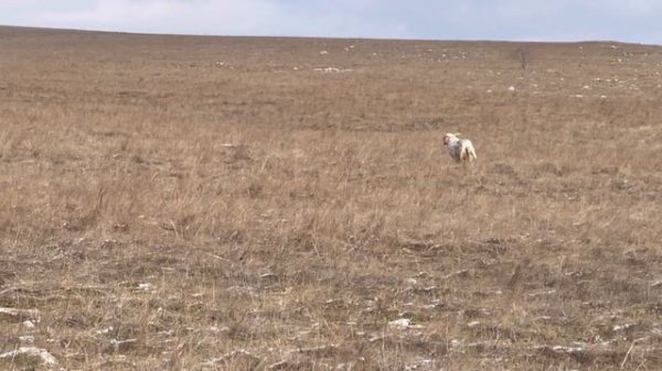 Федора. 09.02.26