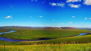 Приаргунский мой край