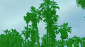 Всплеск солнца  - "TFM Project"