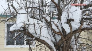 Снега много не бывает