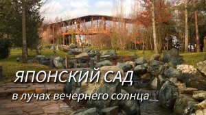 Краснодар. Зимний японский сад в лучах вечернего солнца✅
