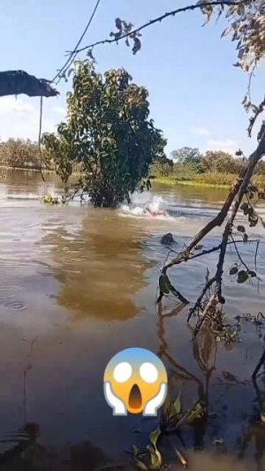 Импортный юмор!