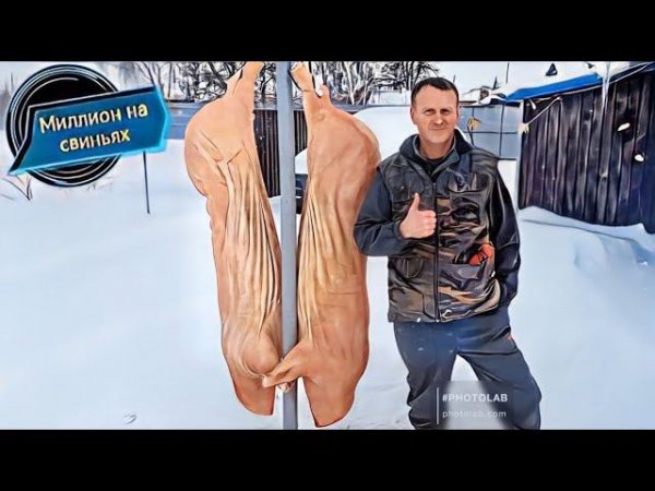 ‼️Очередной  ЗАБОЙ свиньи‼️В новом сезоне‼️