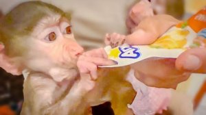 Ангелине, Степе и Маняше прислали целую посылку вкусняшек)))