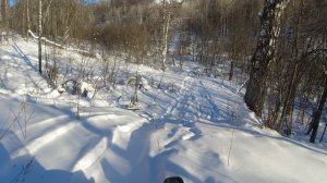 Появился медведь шатун! Не везет так не везет!