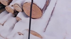 привезли дрова долготьем потихоньку пили колим