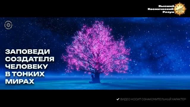 #БлагоВест ✴ Заповеди Создателя человеку в Тонких Мирах