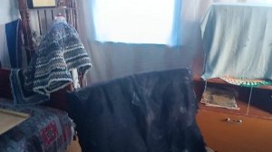 Жизнь женщины в деревне,Внучка старшая в гостях