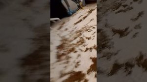 авиа катастрофа рейса 9121: сваливание при посадке