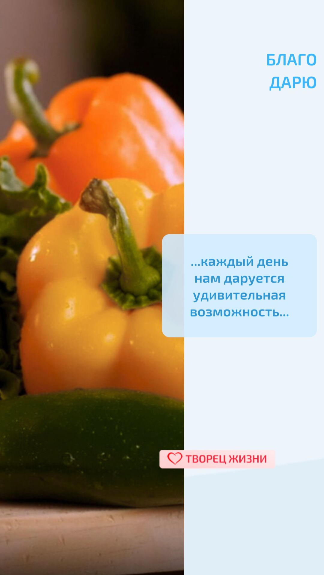 Благодарю Творца за возможность наслаждаться изобилием пищи и воскрешать приятные воспоминания!