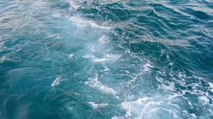 #немного отрывок из лета и море