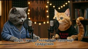 🤣 Подкаст котов # 5. Почему коты ненавидят клиники? Вся правда