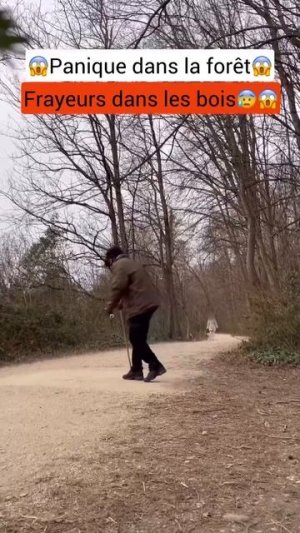 MOV_20260209_200426_677.mp4