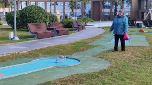 Адлер Веселая чайка Январь 2026