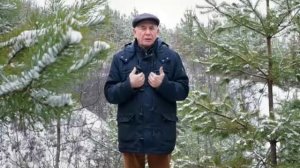 13-2 Бальзам для позвоночника. Станислав Лосев_ Желание управлять кем-то