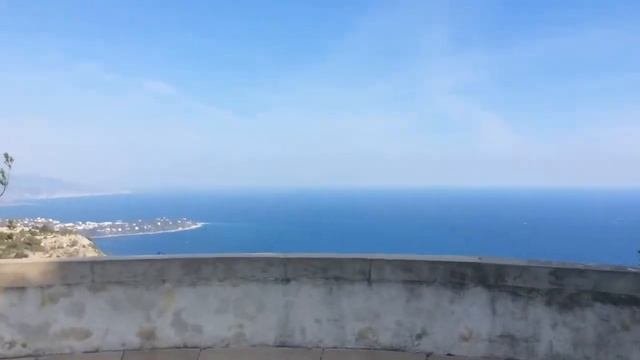 2021. Голова собаки + Монако фин вариант