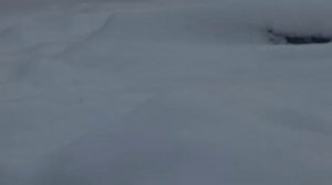 080226г КИАРА часа два так проходилазаглядывая к Симе а жених не выходил из летней будки