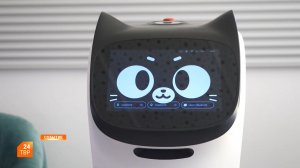 Робот-помощник