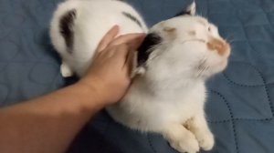 09-02-2026 жизнь Найдёныша у нас!!!