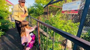 Мы пришли с Маняшей и Степашкой покормить семью гамадрил в НОВОМ ВОЛЬЕРЕ!