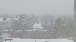 АНТОН&АЛЬФИЯ**ЯНВАРСКАЯ ВЬЮГА**ДОБРОЕ 🌄🙋УТРО ВСЕМ.. ЖЕЛАЮ ВСЕМ УДАЧИ. МНОГО ПОЗИТИВА