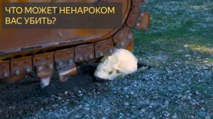 ЧТО может ненароком Вас убить
