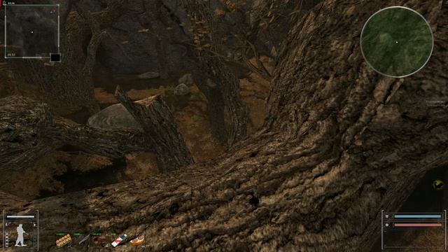 Объединённый Пак - 2.2 Финальный тайник Коллекционера на Радаре смотреть онлайн