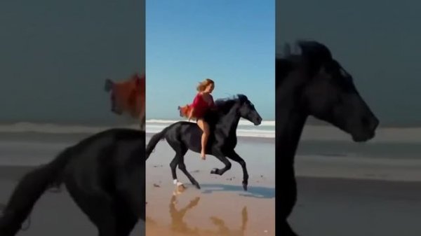 Душевная песня 👍👍👍