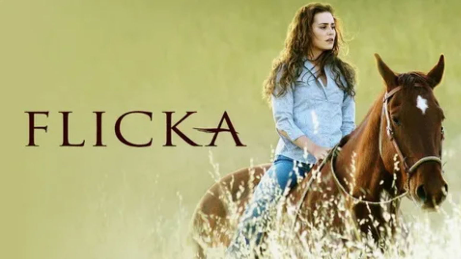 Флика (2006) / Flicka