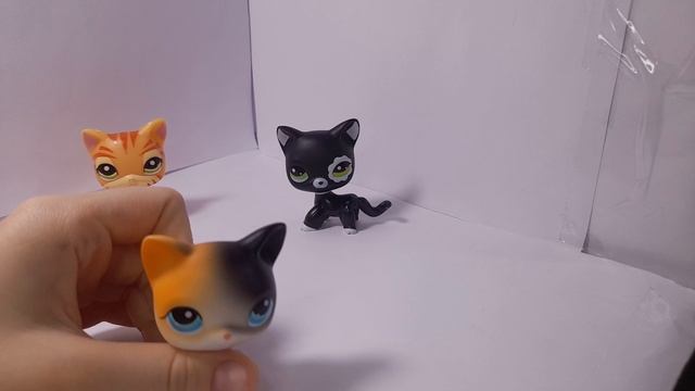 Обзор на моих LPS смотреть онлайн