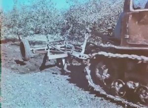 Вредители И Болезни Яблони 1979 СССР