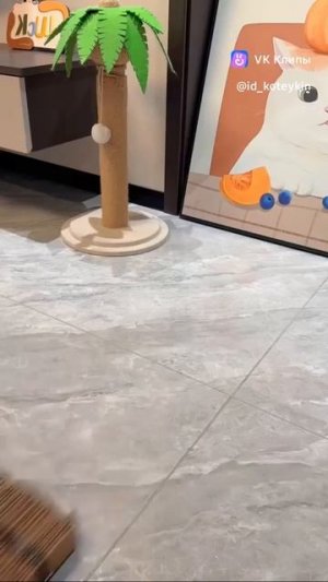 DIY cat,s  scratching post