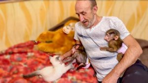 Маня ПРИЛИПЛА к Владу КАК РОДНАЯ и только попискивает пока Степа и Бася выясняют отношения)))