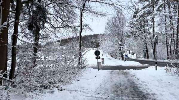 Снежная прогулка по Цюриху 2026 ❄️ Пешеходная экскурсия по Швейцарии в зимнюю страну чудес 🇨🇭