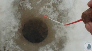 верьте в приметы