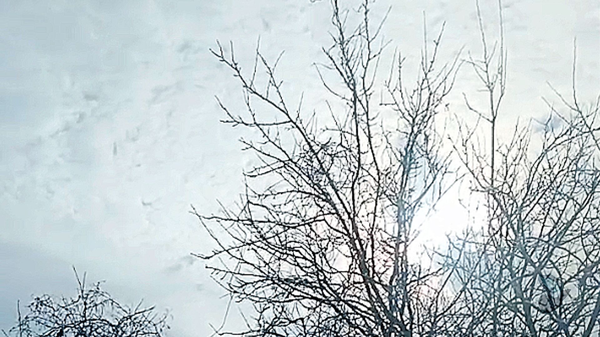 Зимнее утро. Релаксационная музыкальная видеозарисовка Зимнее утро. Релаксационная музыкальная видеозарисовка