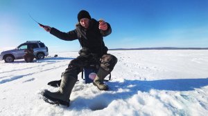 Рыбалка в феврале 2026 на балансир и мормышку. Ловим окуня.