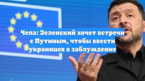 Чепа: Зеленский хочет встречи с Путиным, чтобы ввести украинцев в заблуждение
