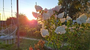 Дачный рассвет. Все впереди.