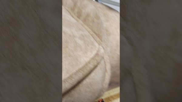 Целых три истории: Три ночи с челом,Побег от Матроскина и Якубович exe 2 в одном видео!!!!🩸🩸🩸🩸🩸