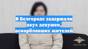 Двух россиянок задержали за оскорбительное видео о белгородцах