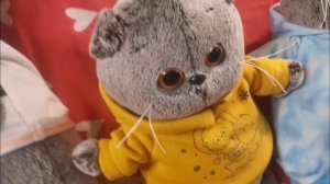 День  с  моими  Басиками