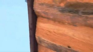 080226гШерхан в ожидании пртшел поздороваться