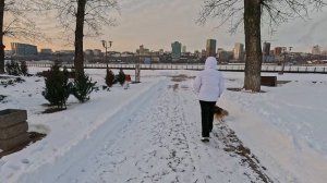 Левый берег Дона в снегу, февраль 2026.