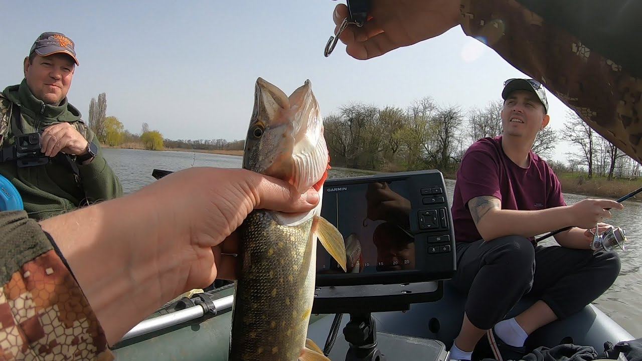 31/03/2024/ Попали на жор щуки. Поклевон за поклевоном...)