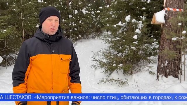 Первоуральцы присоединились к всероссийской переписи воробьёв смотреть онлайн