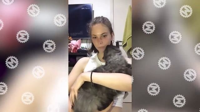 20 Известных ТИКТОКЕРОВ Тогда и Сейчас .mp4 смотреть онлайн